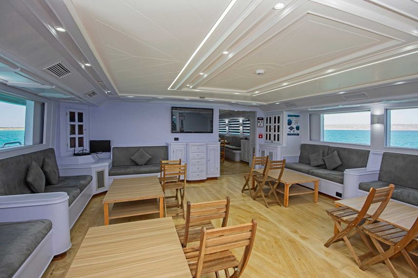 Salon interior - Blue Melody