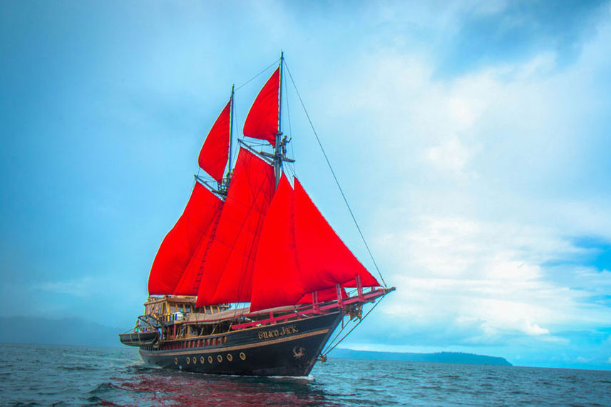 Calico Jack