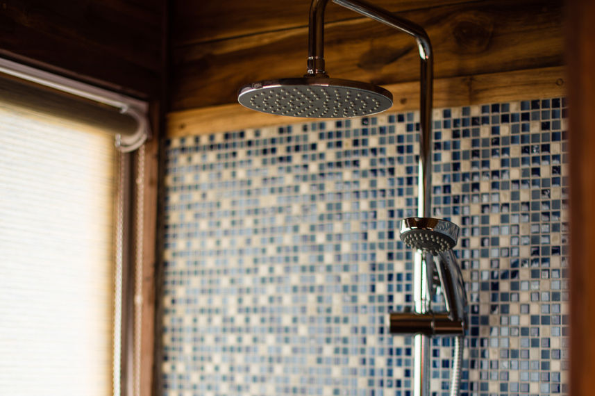 Guest Cabin Shower