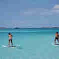 Paddleboarding - Aqua Cat