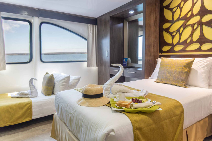 Upper or Main Deck Cabin