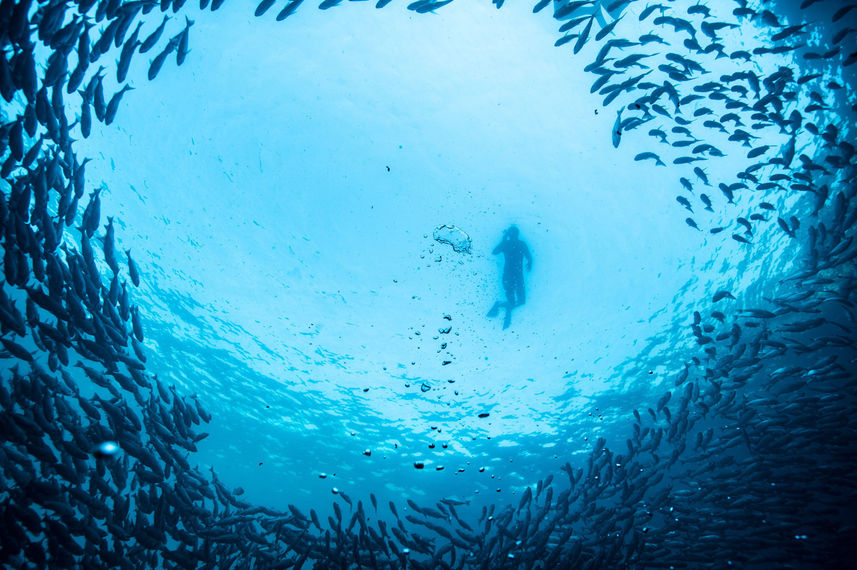Snorkelling - La Pinta