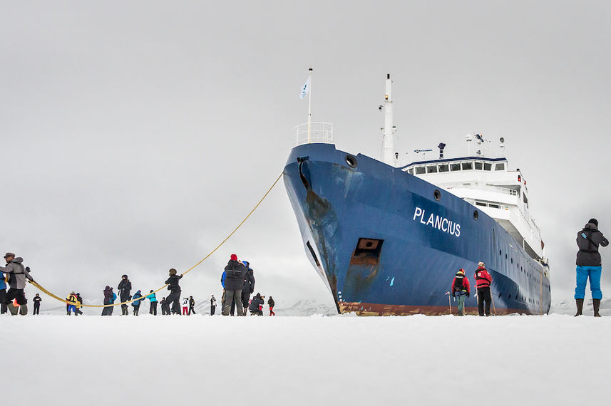 Plancius Antarctica
