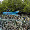 Kayak a bordo - Majik