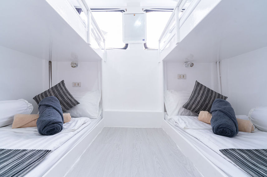 Bunk Bed
