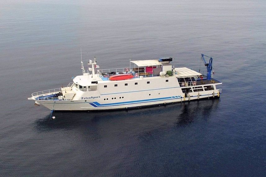 Palau Sport