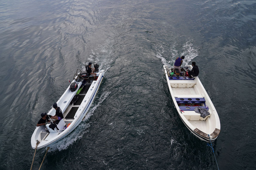 Botes p/ mergulho - EcoXplorer