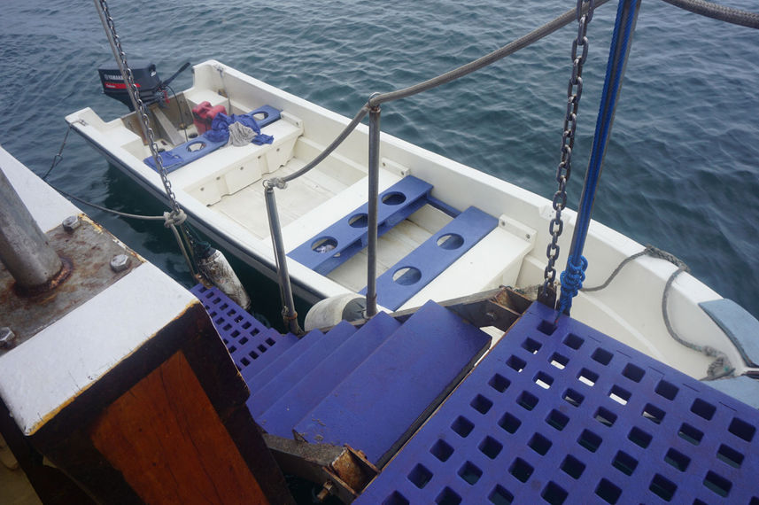 Botes p/ mergulho - EcoXplorer