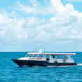 Diving Dhoni - Maldives Legend Odyssey