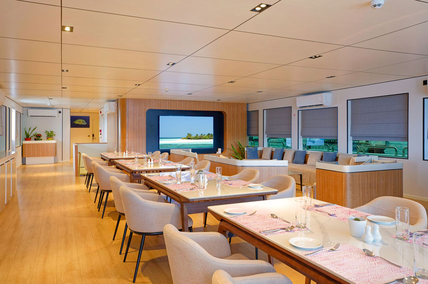 Comedor  - Ariyal